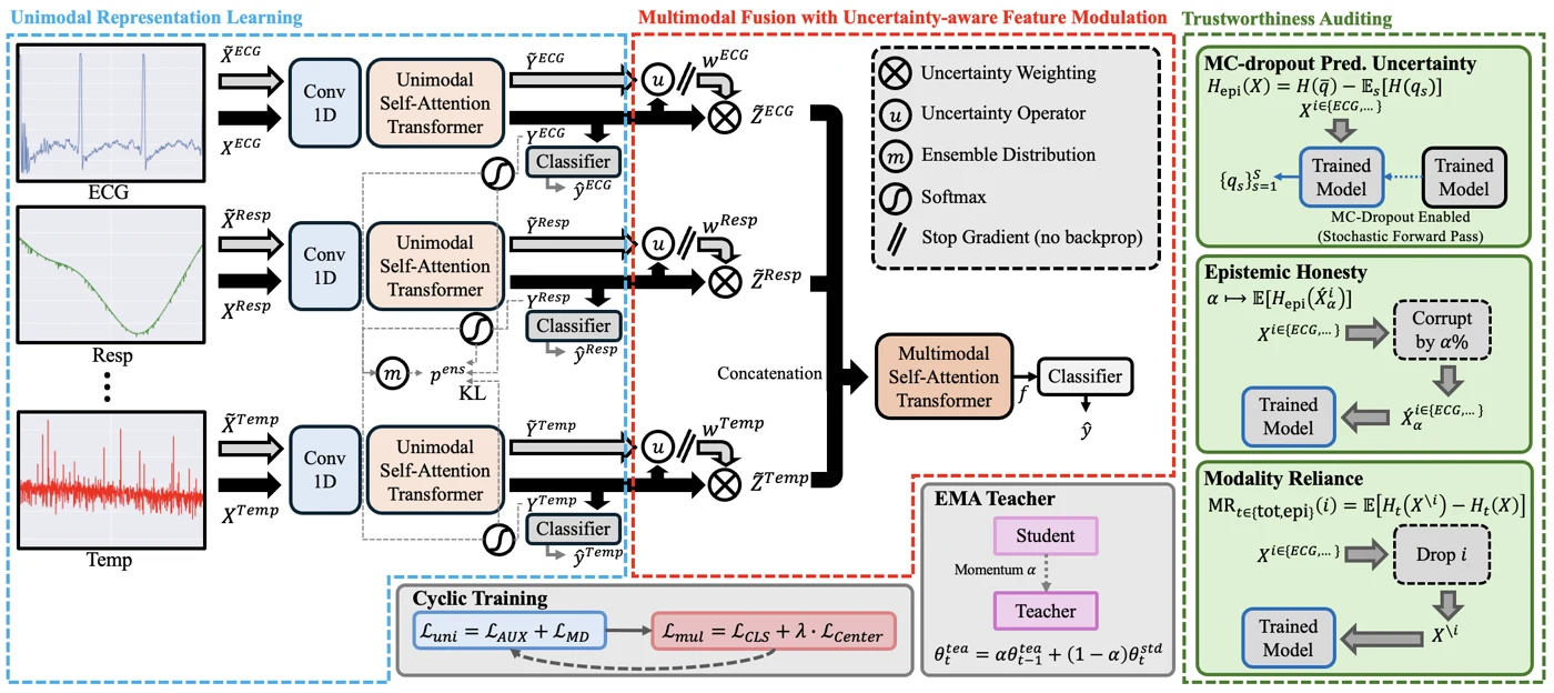 4_physiofusion_architecture.png